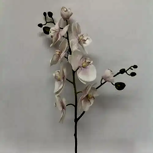 Real Touch Phalaenopsis Orchid White