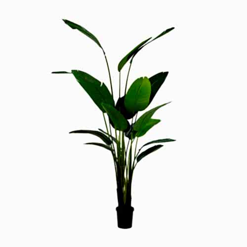 Yapay Starliçe Ağacı (245cm)