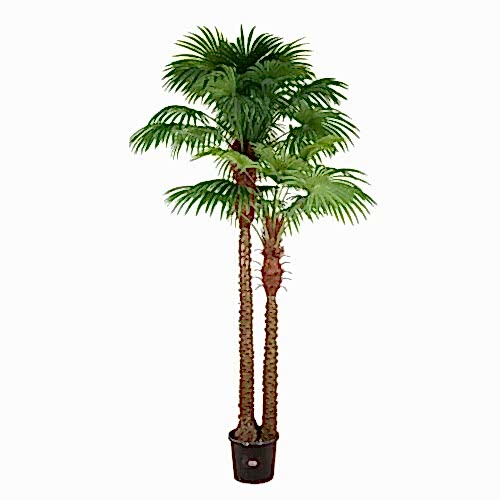 Yapay Palmiye Ağacı (260 CM)