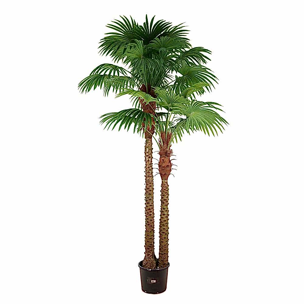 Yapay Palmiye Ağacı (260 CM)