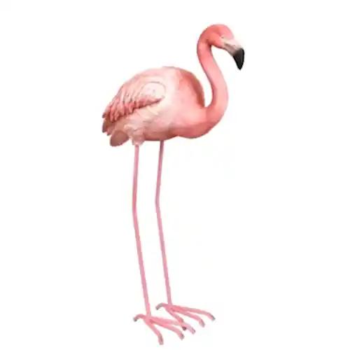 Aksesuar Flamingo