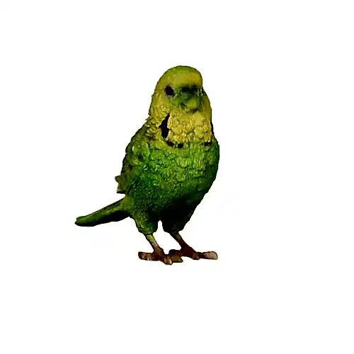 Aksesuar Muhabbet Kuşu