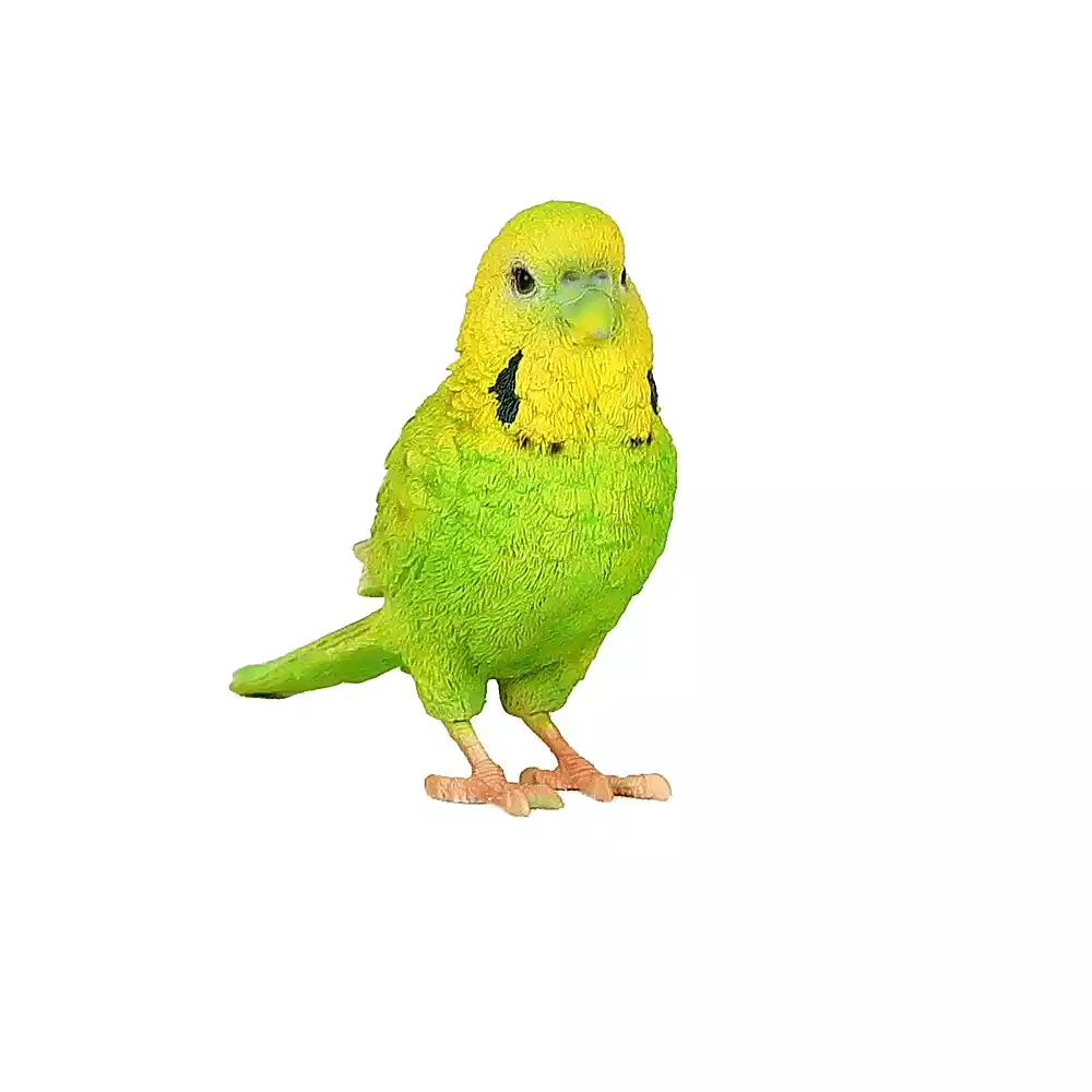 Aksesuar Muhabbet Kuşu