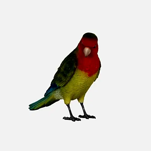 Aksesuar Muhabbet Kuşu