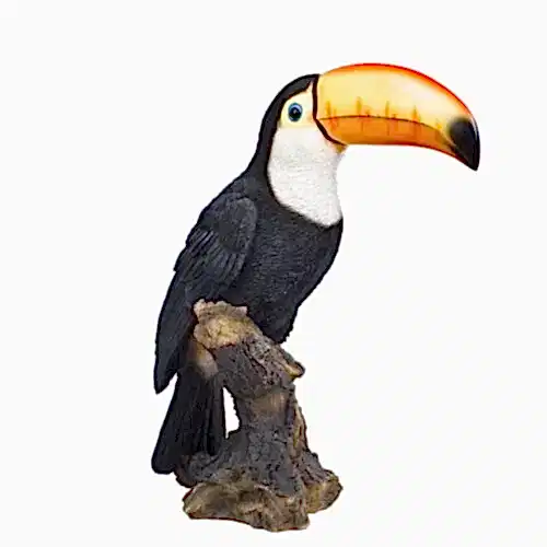 Aksesuar Toucan