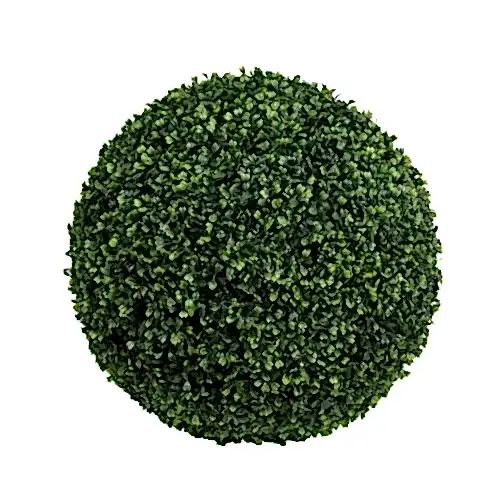 Boxwood Ball Tree
