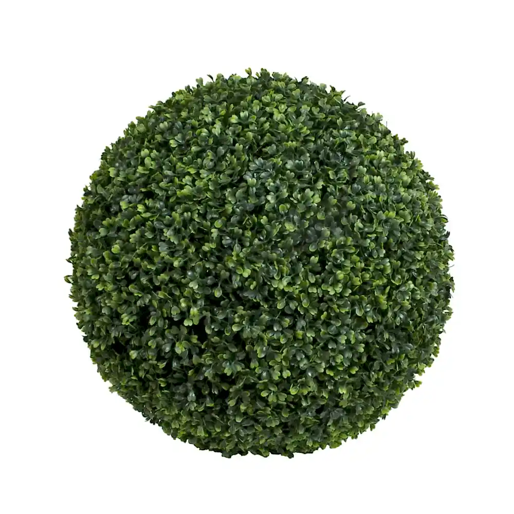 Boxwood Ball Tree