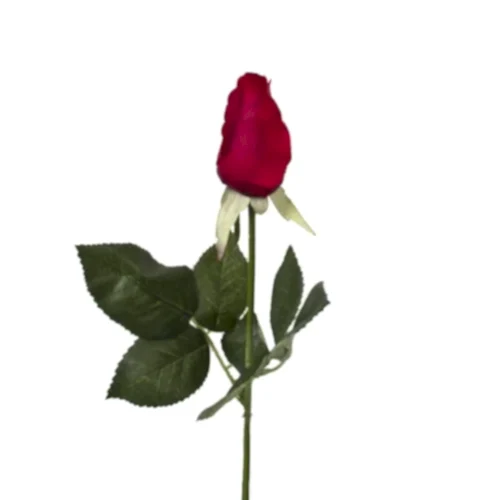 Touch Mini Rose Bud