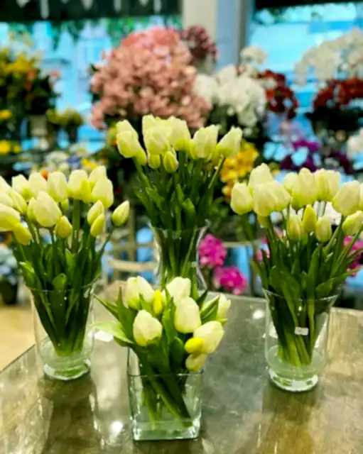 Yapay Lale Fiyatları