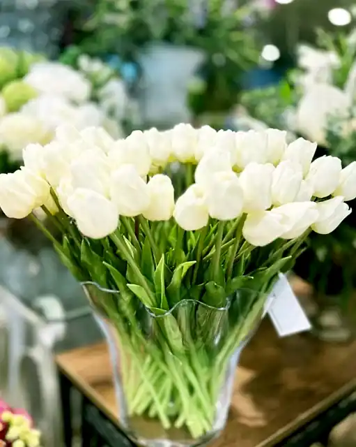 Yapay Lale Modelleri