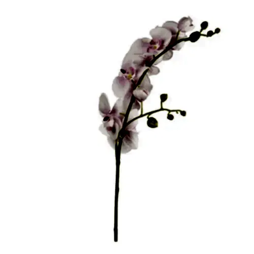 Yapay Islak Dokulu Çiçek - Phalaenopsis Orkide (65cm)