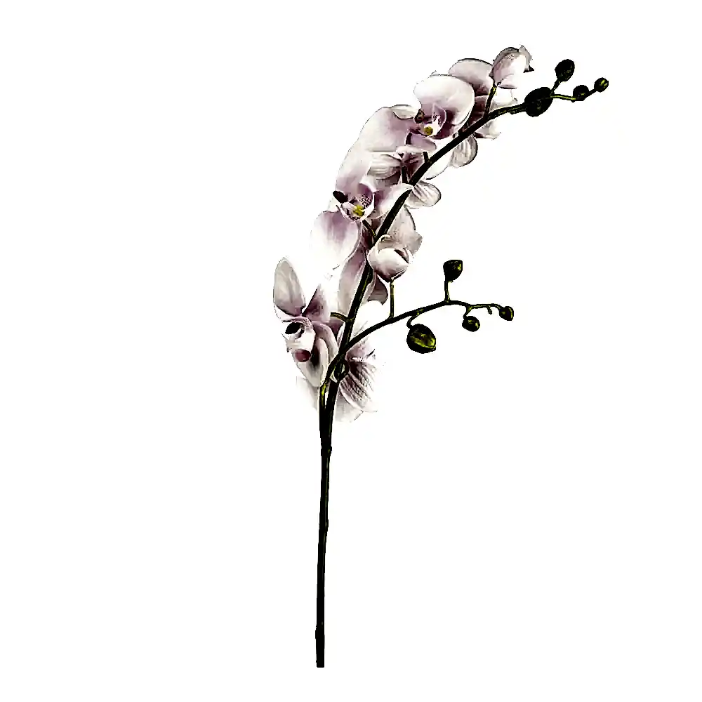 Ana Sayfa Islak Dokulu Çiçekler