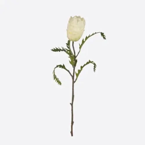 Yapay Protea Çiçeği Tek Dal (63cm)