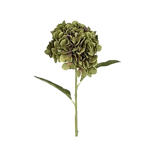 Yapay Ortanca Tek Dal