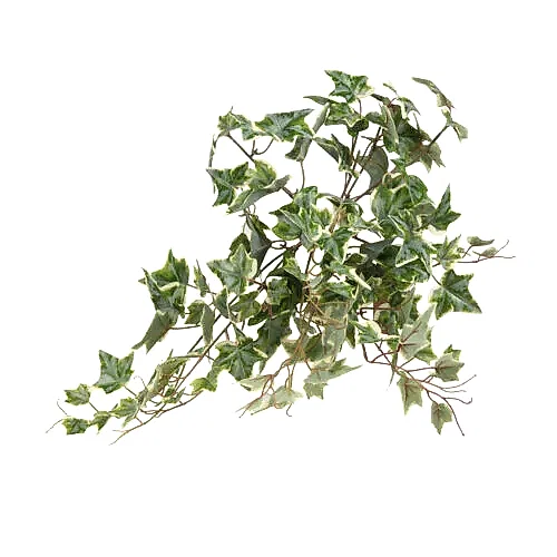 Yapay Puf Sarmaşık (56cm)