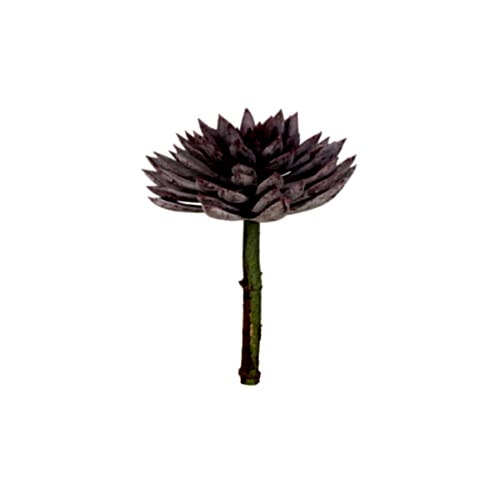 Yapay Echeveria Sukulent (20 CM)