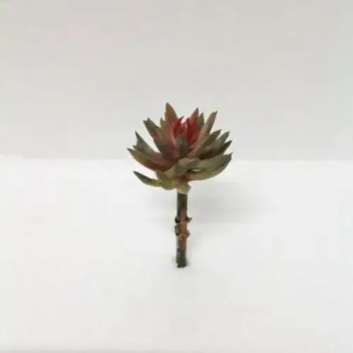 Yapay Sukkulent (15 CM)