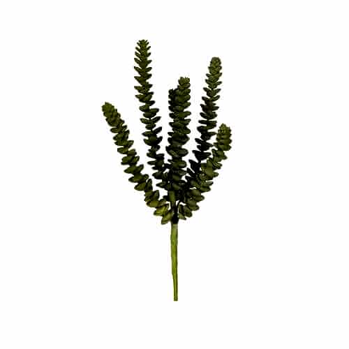 Yapay Kaktüs Sukulent (33 CM)
