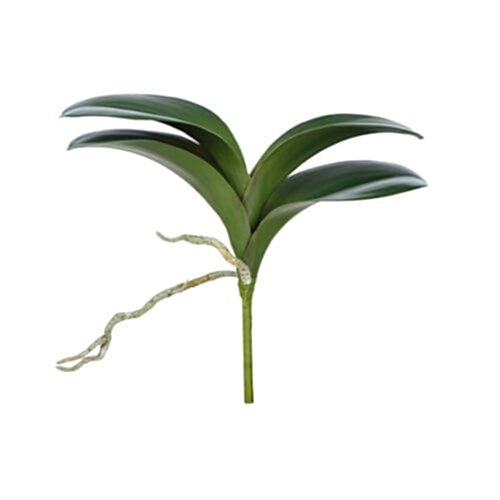Yapay Orkide Yaprağı (22cm)