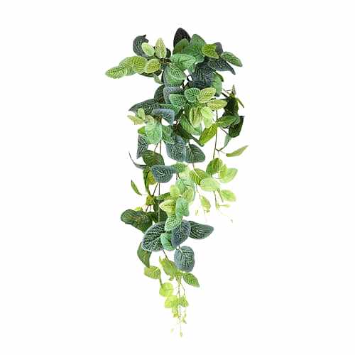 Yapay Sarkan Sarmaşık (80cm)