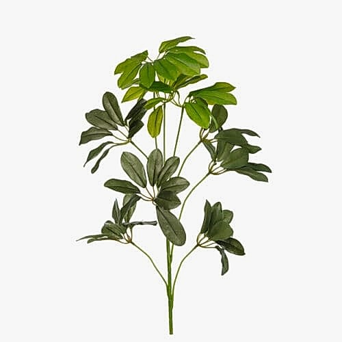 Yapay Şeflera Bitkisi