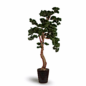 Yapay Bonsai Ağaçları