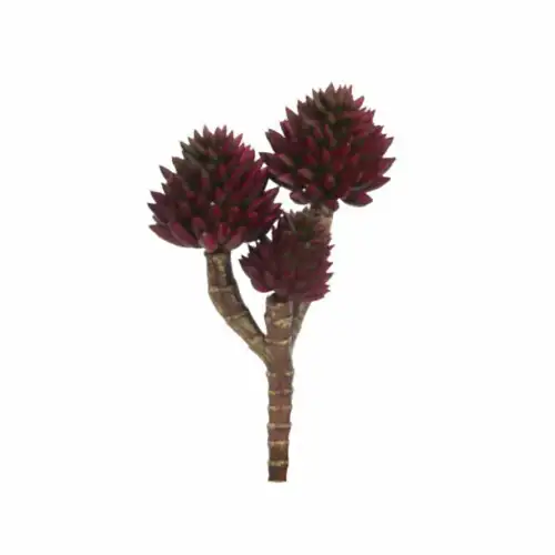 Yapay Echeveria Sukulent (20 CM)