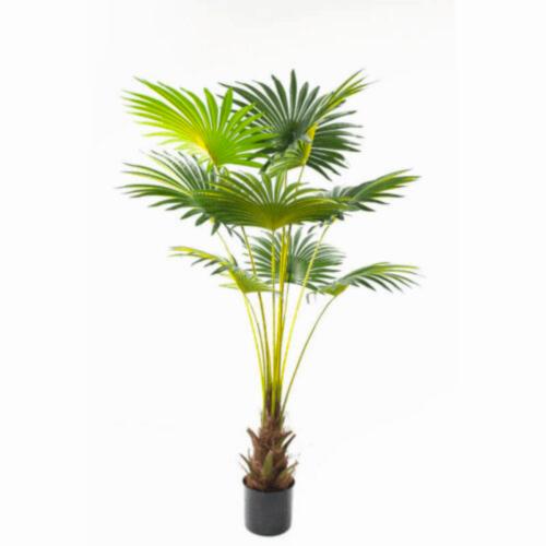 Yapay Fan Palmiye Ağacı (160cm)