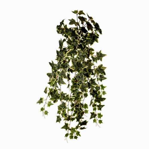 Ivy Hanging Bush (90cm)