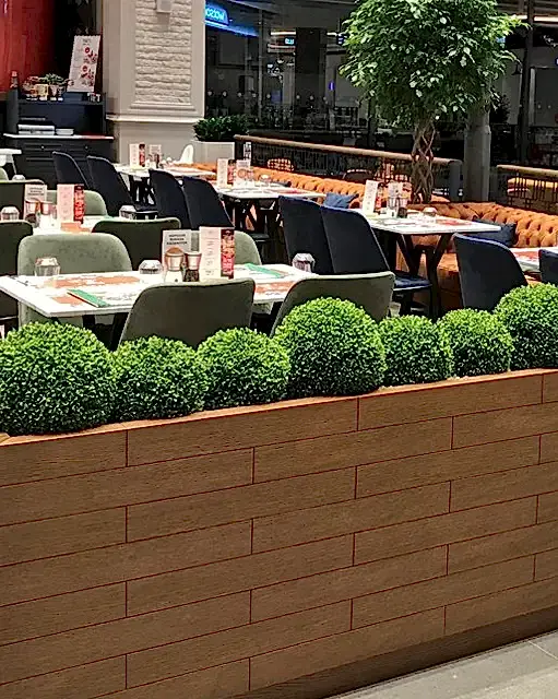 Dekoratif Şimşir Top