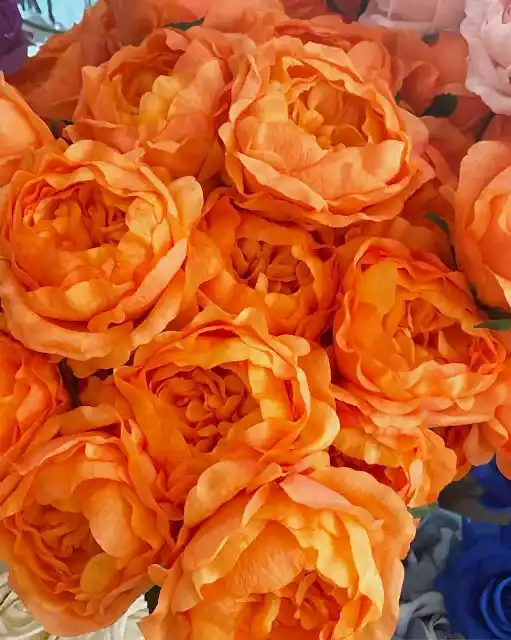 Dekoratif yapay şakayık