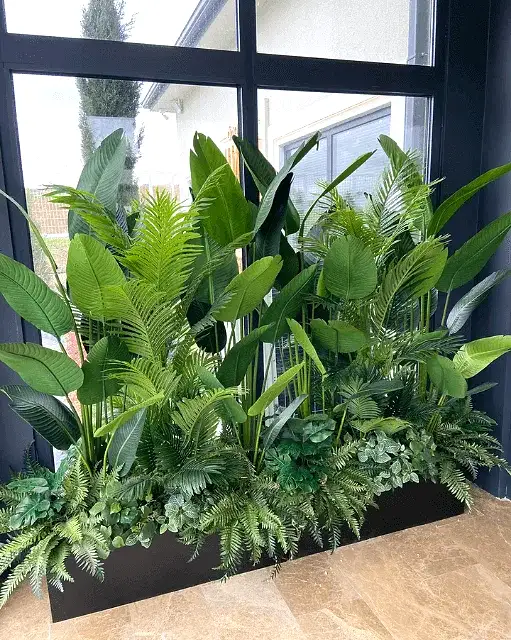 Geniş Yapraklı Ağaç Fiyatları