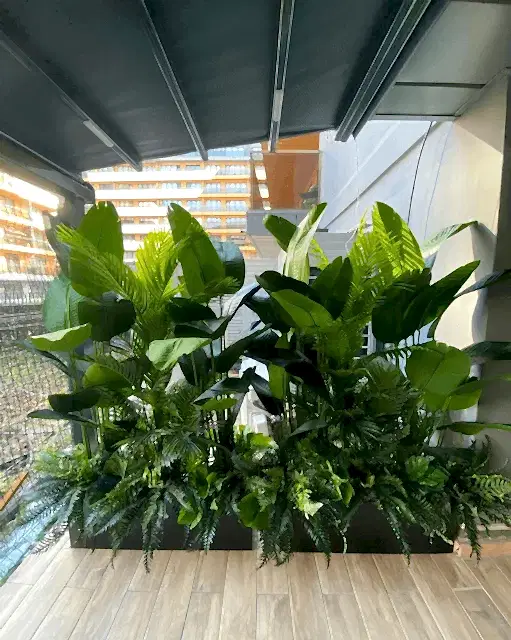 Geniş Yapraklı Ağaç Fiyatları