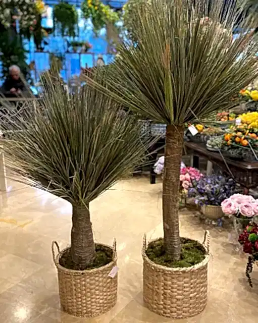 İç Mekan Yapay Ağaçlar