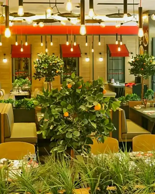 Yapay Meyveli Ağaç Fiyatları