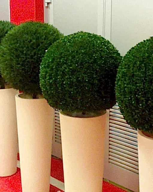 Yapay Top Şimşir Fiyatları