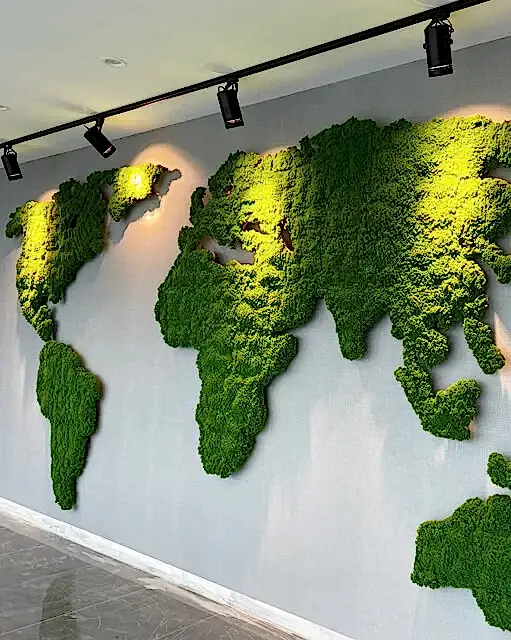 Dikey Bahçe Dekorasyon Uygulamaları