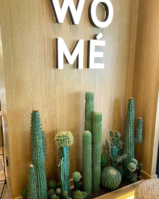 dış mekan çiçeklik uygulaması