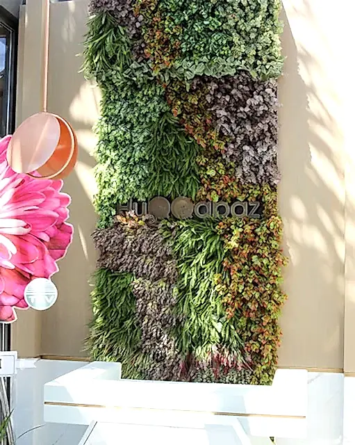 Dış Mekanda Dikey Bahçe Dekorasyon Uygulaması