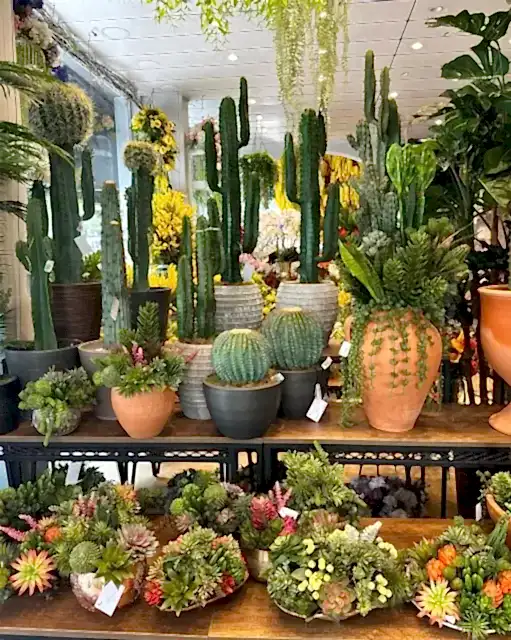 gerçekçi yapay bitki