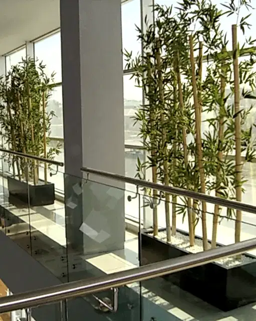 is-yerine-yapay-bambu-agaci-uygulamasi