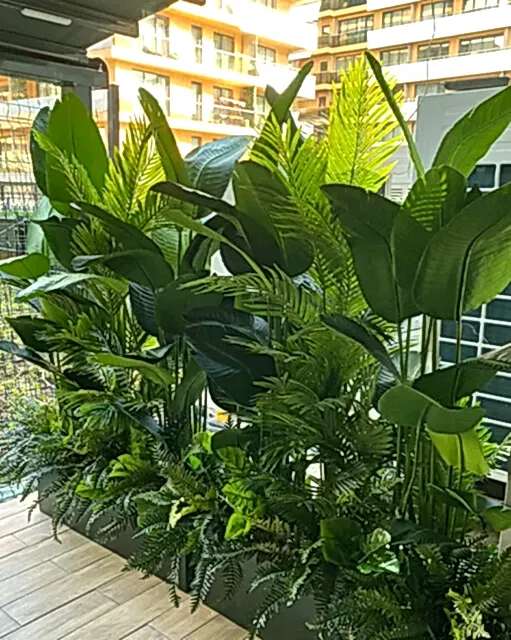 mekan çiçeklik uygulaması