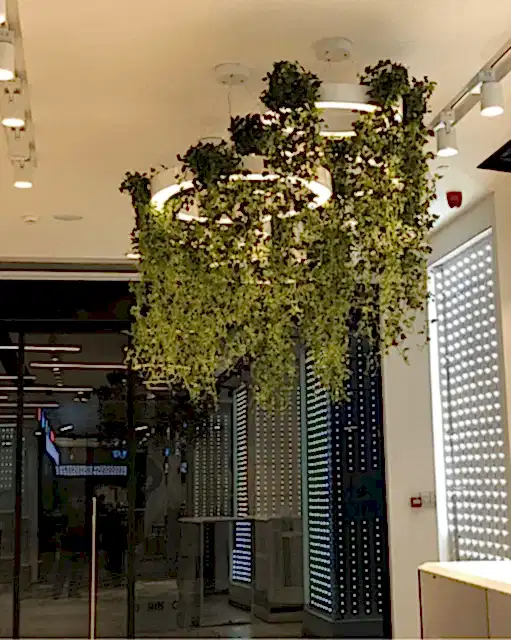 ofiste-yapay-tavana-sarmasik-dekorasyonu