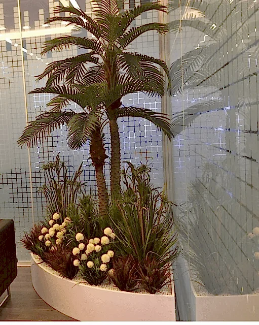 Restoranlara Palmiye Ağacı Dekorasyonu