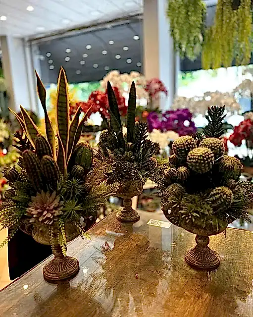 Yapay Bitki Modelleri