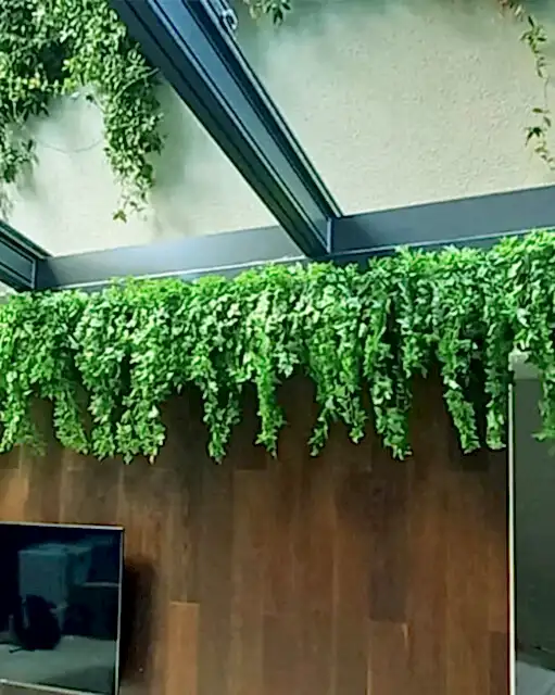 yapay sarmaşık fiyatları