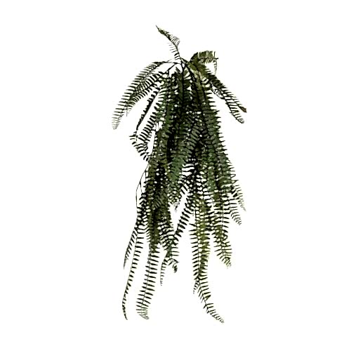 Yapay Fern Sarmaşık