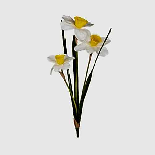Yapay Nergis Çiçeği Demet