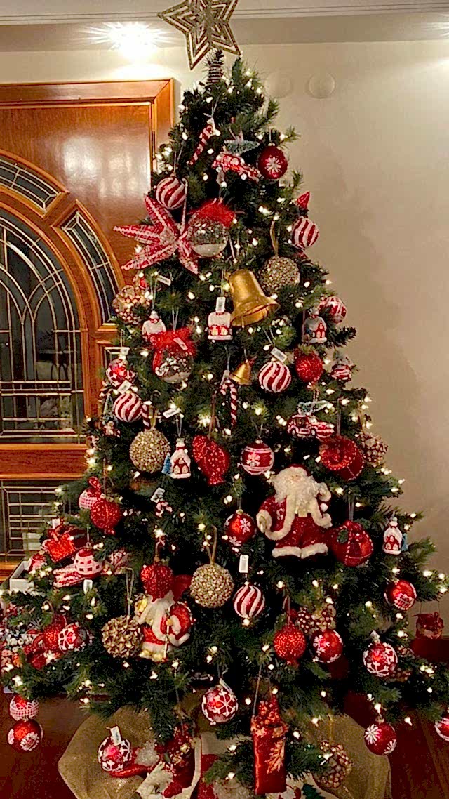 yilbasi-cam-agacı-susleme-onerileri