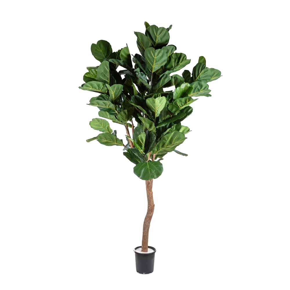 Ana Sayfa Yapay Ağaçlar